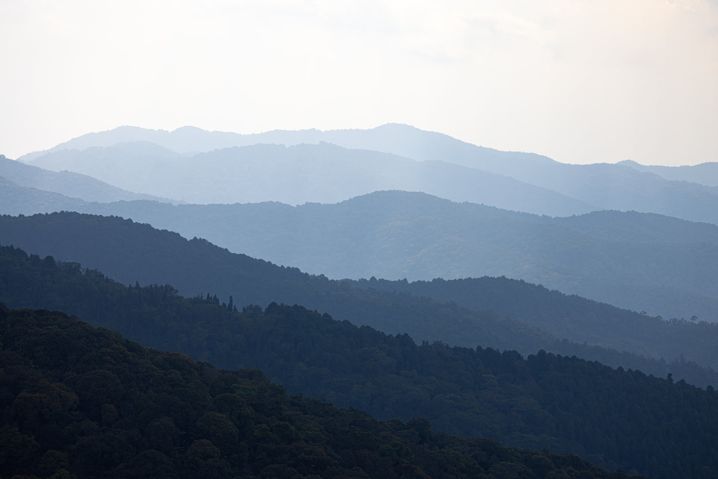 Land of a Thousand Hills