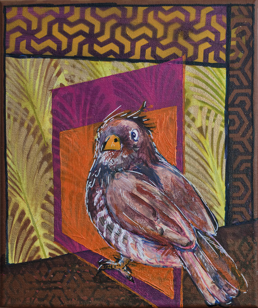 Concrete Jungle Fire Finch.