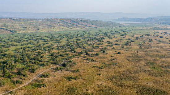 Akagera From The Air