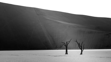 Deadvlei 1