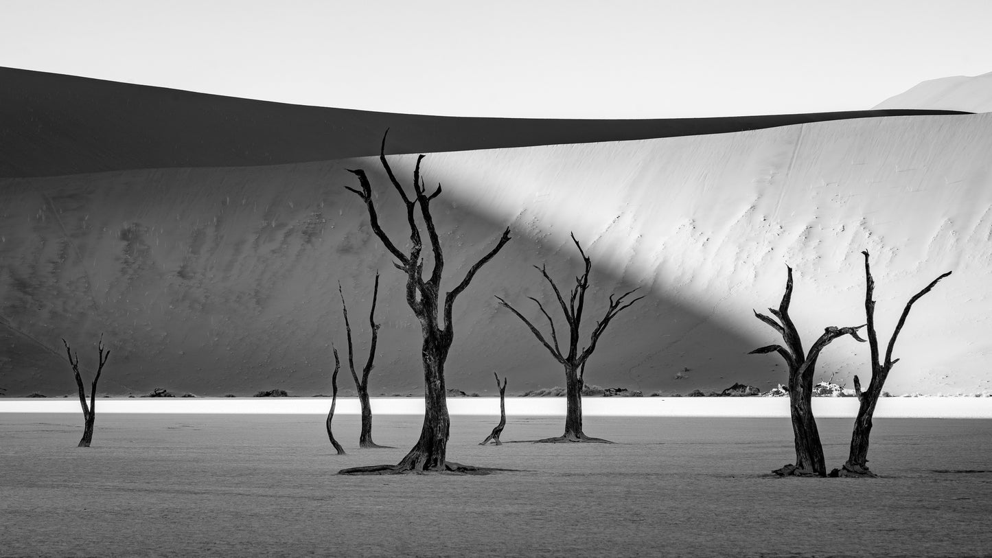 Deadvlei 2