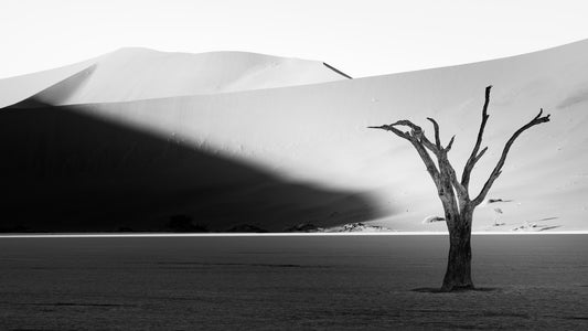 Deadvlei 3