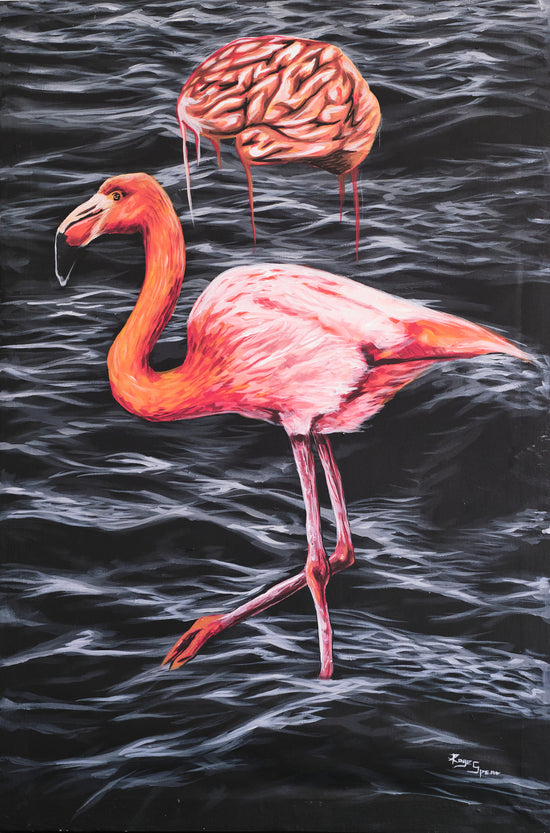 Flamingo In The Water