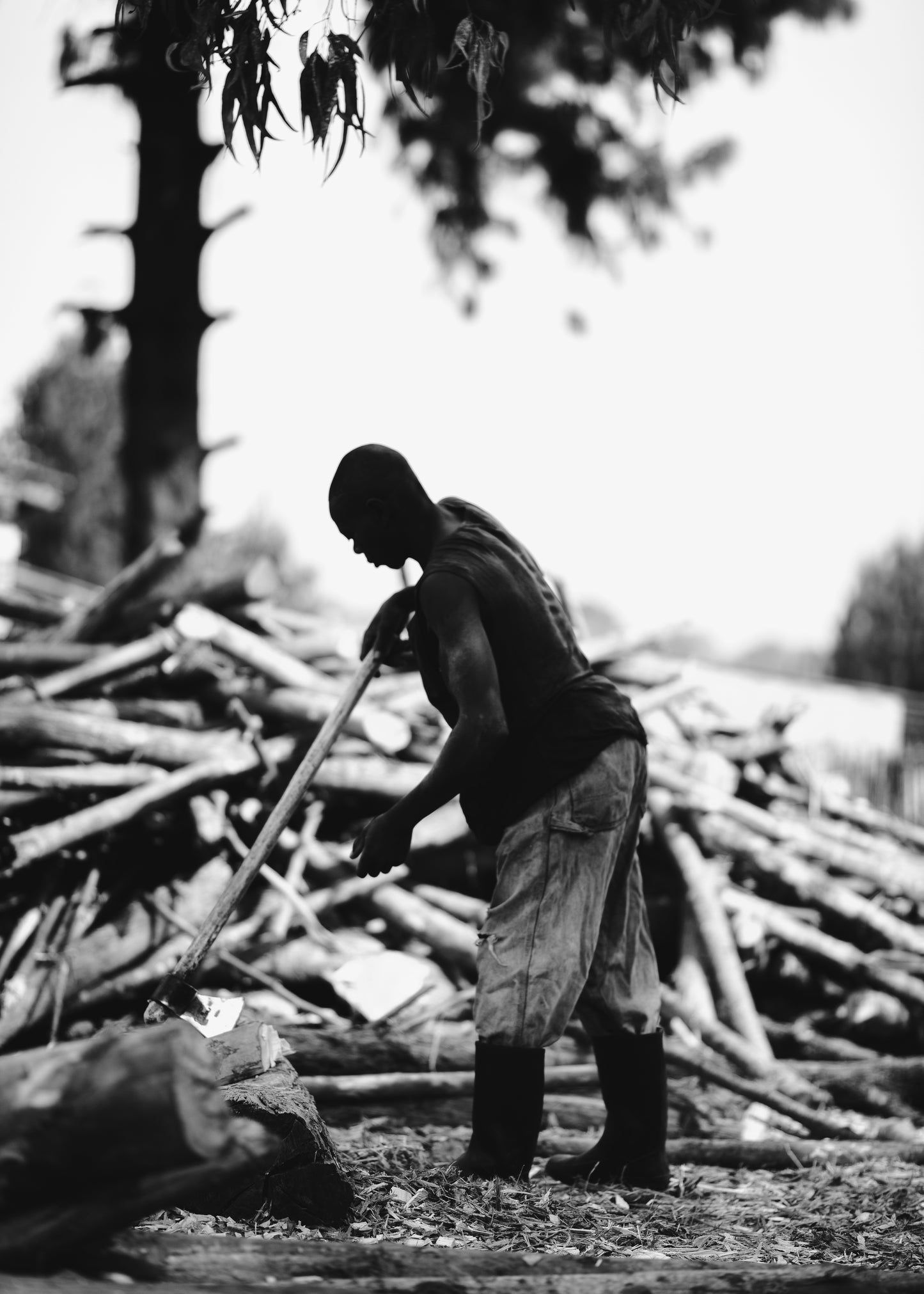 Woodcutter 01