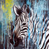 Zebra Iradukunda Bizimana Gilbert