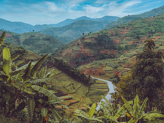 Green Hills of Rwanda